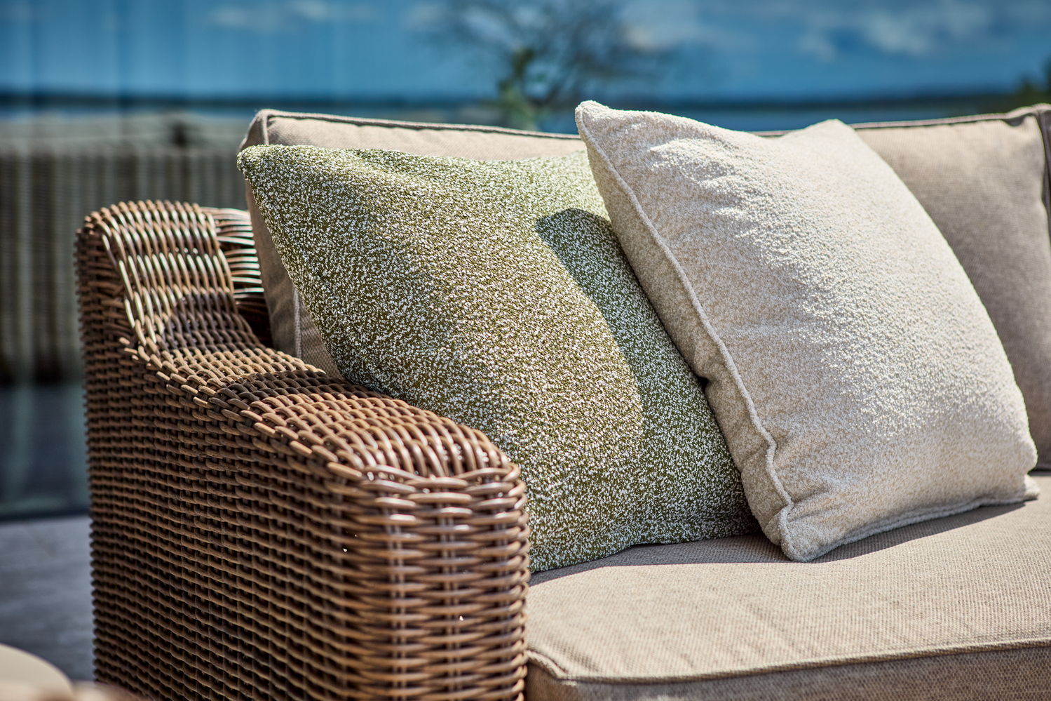 Teddy pude Teddy Rice