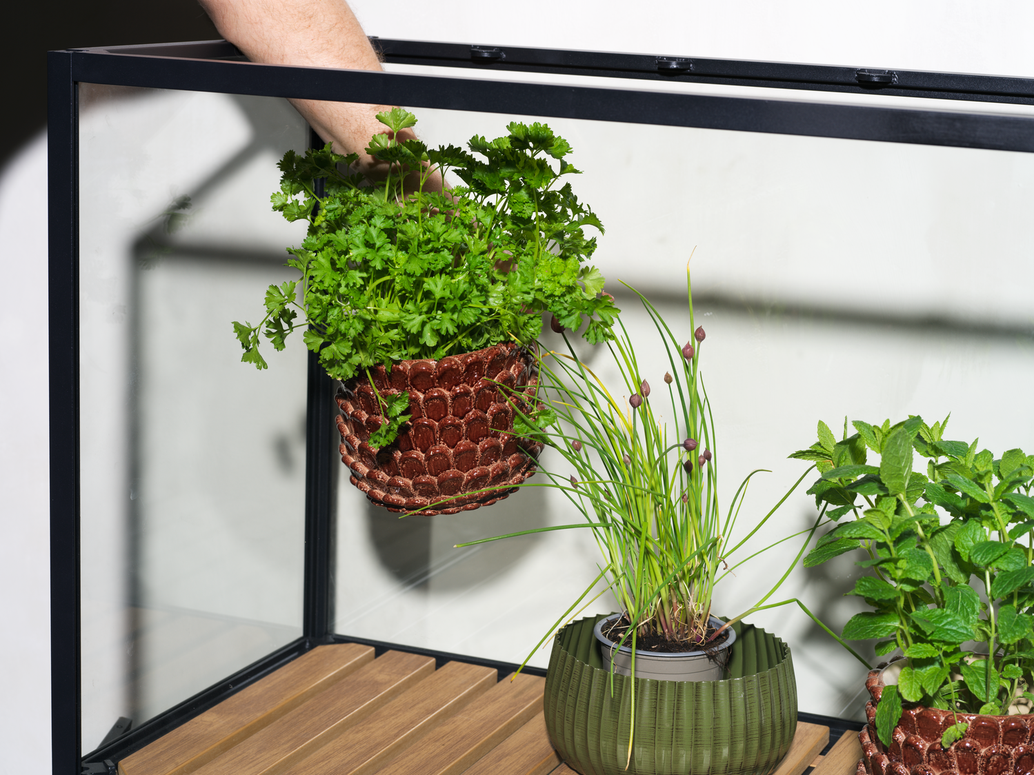 Grower Greens Planteskab Sort