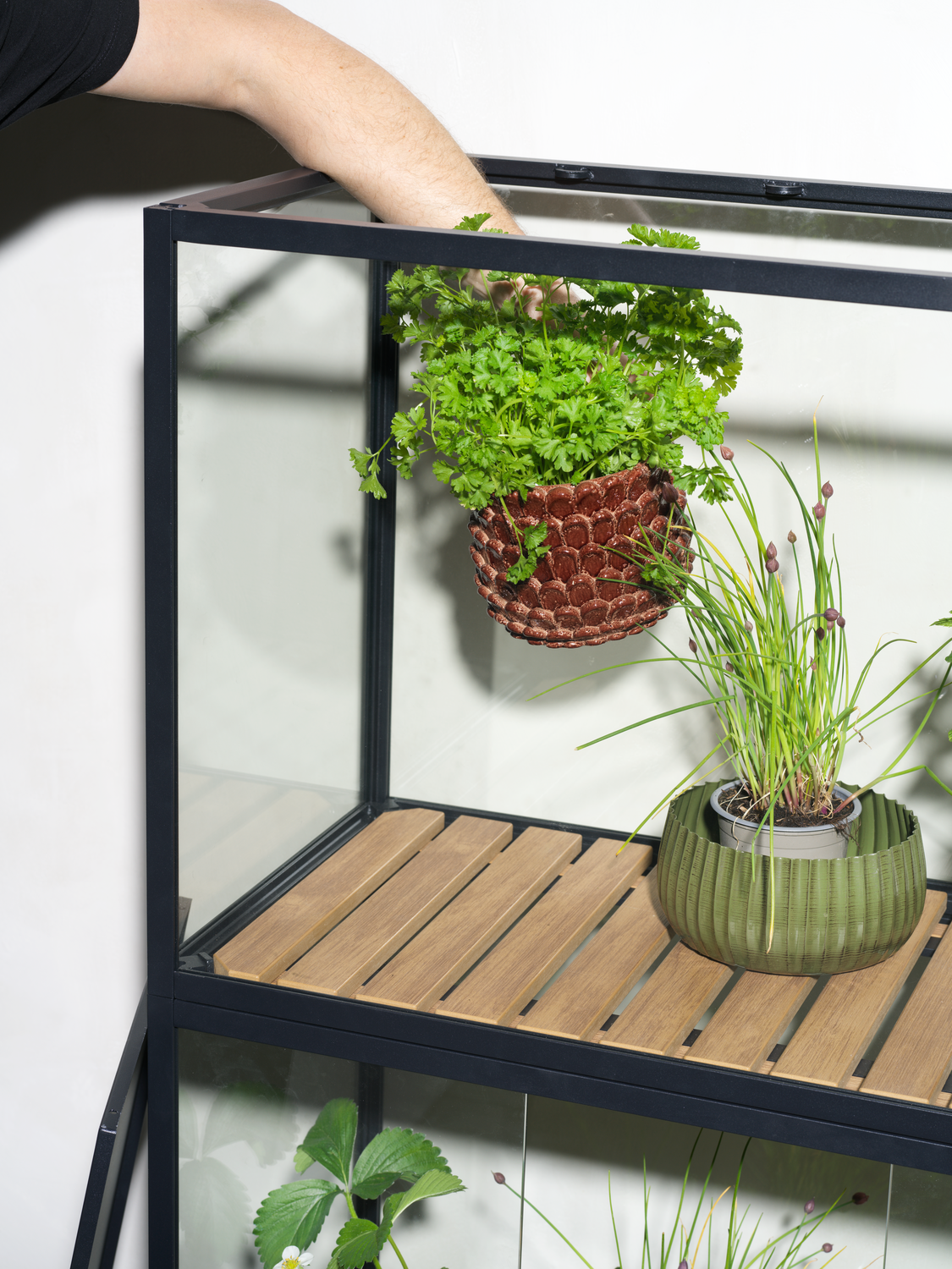 Grower Greens Planteskab Sort