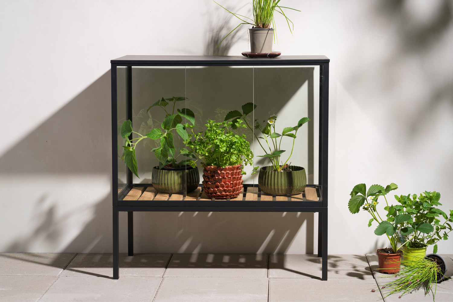 GROWER GREENS 1500_1000.jpg