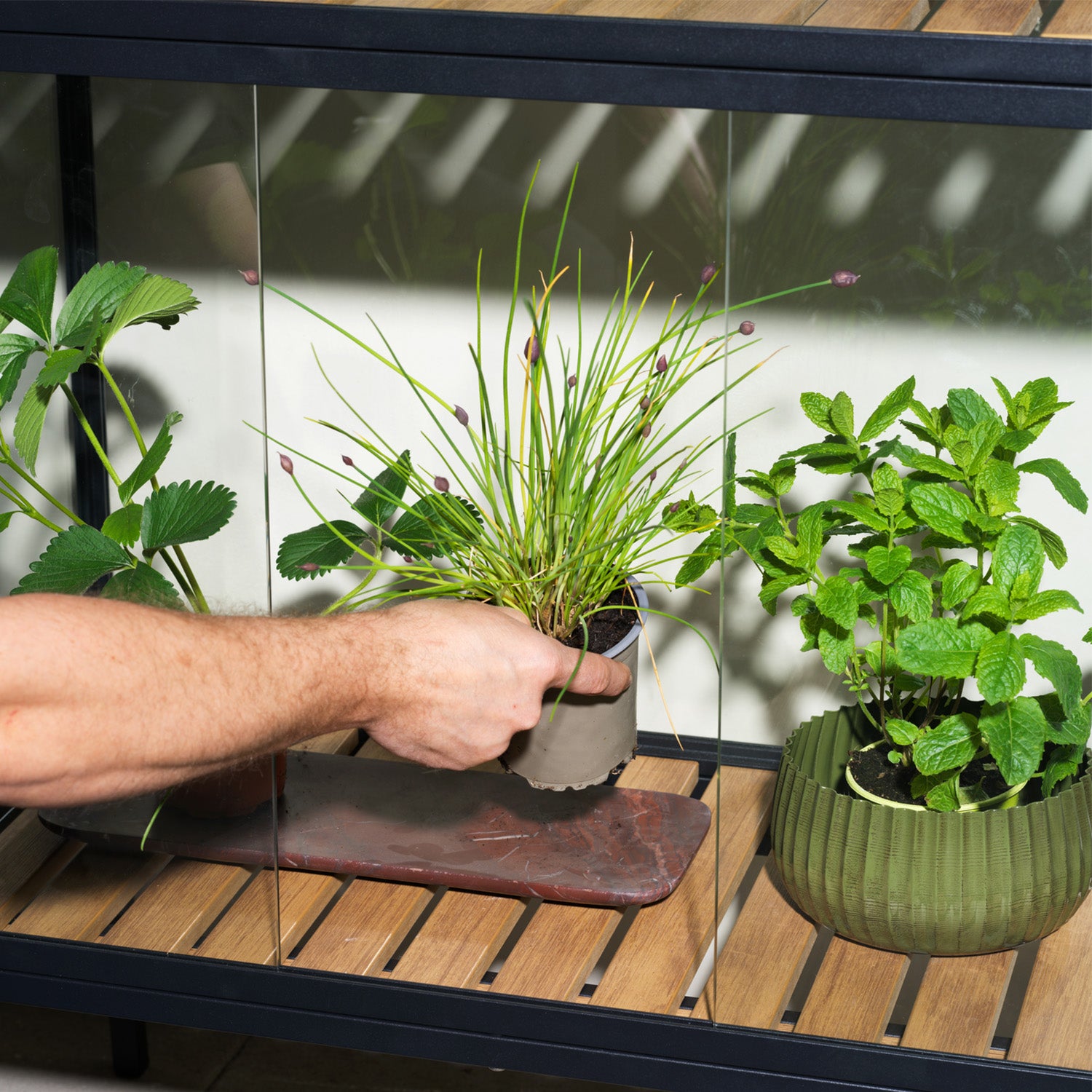 grower greens krukor.jpg